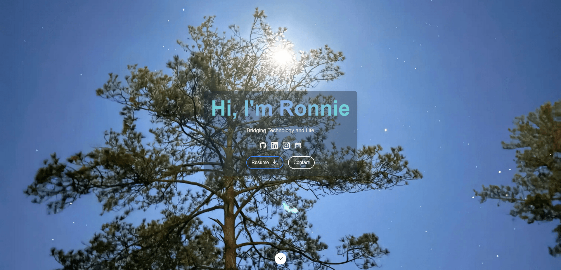 Portfolio Version 1